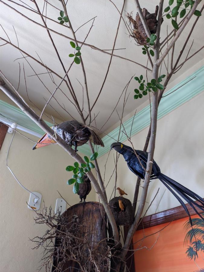 Hotel Pousada Guaypora غواراباري المظهر الخارجي الصورة